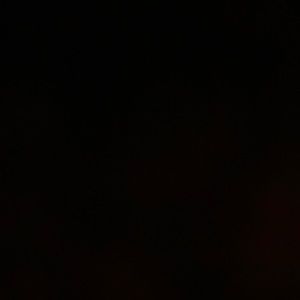 Meet your Posher, Leonardo